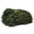 Маскирующая сетка Папортник-Хвоя 1.5*2 м, зеленый